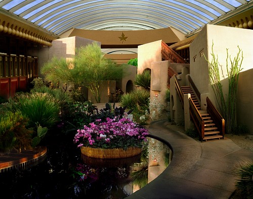 Exhibition: Oliver Wasow: Exteriors and Interiors, Work: Orchid show, Boulders Resort, Arizona