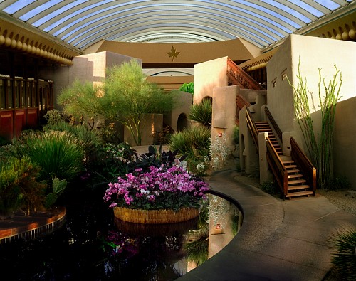 Work: Orchid show, Boulders Resort, Arizona